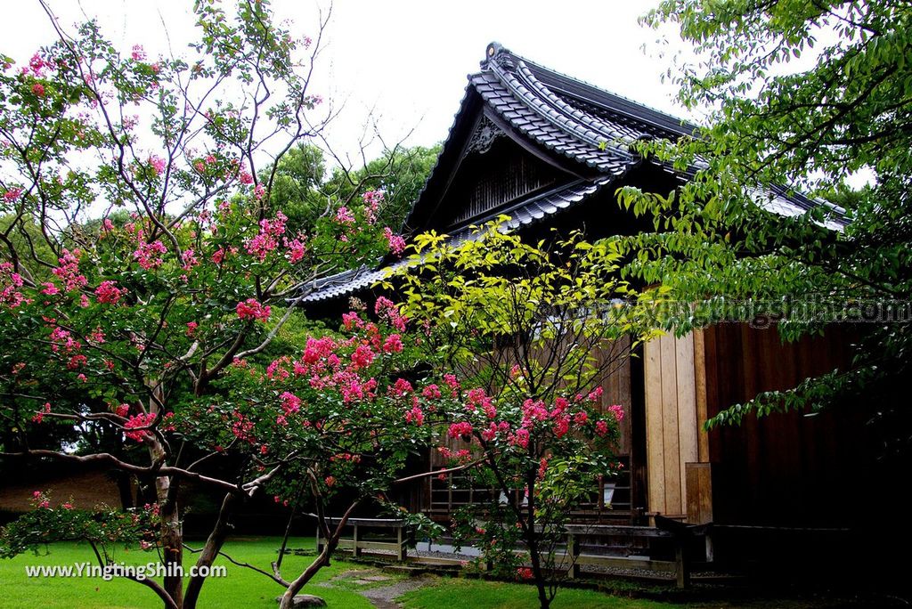 YTS_YTS_20180815_Japan Kyushu Kumamoto Suizenji Jojuen Garden日本九州熊本水前寺成趣園／名水百選／出水神社123_3A5A3089.jpg