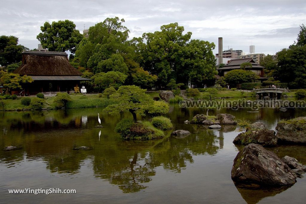 YTS_YTS_20180815_Japan Kyushu Kumamoto Suizenji Jojuen Garden日本九州熊本水前寺成趣園／名水百選／出水神社128_3A5A3223.jpg