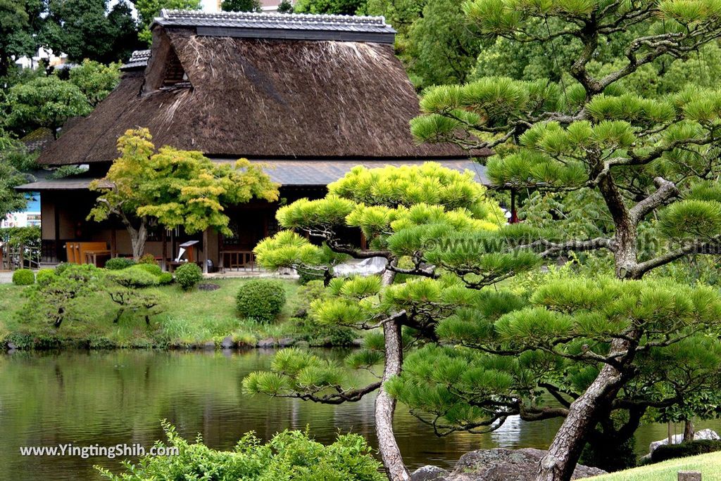 YTS_YTS_20180815_Japan Kyushu Kumamoto Suizenji Jojuen Garden日本九州熊本水前寺成趣園／名水百選／出水神社129_3A5A3193.jpg