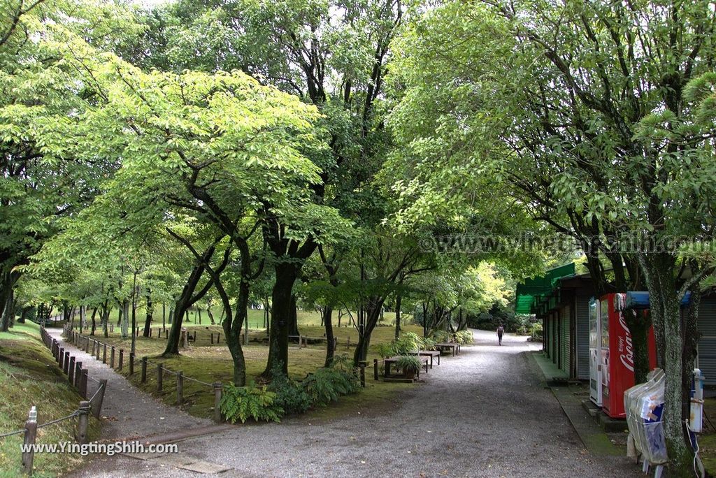 YTS_YTS_20180815_Japan Kyushu Kumamoto Suizenji Jojuen Garden日本九州熊本水前寺成趣園／名水百選／出水神社135_3A5A3159.jpg