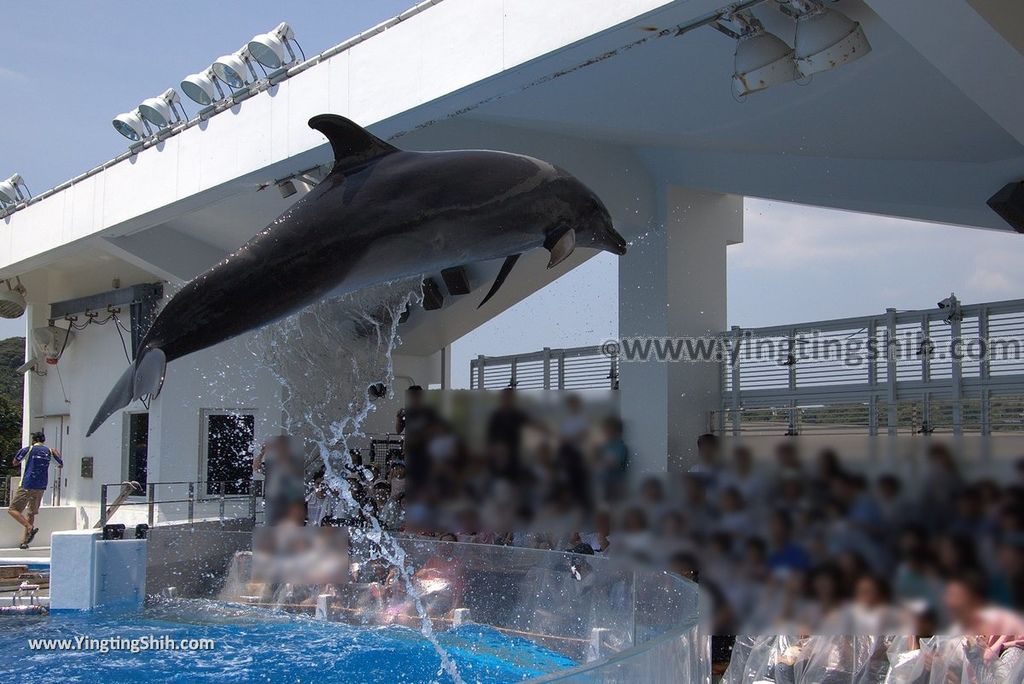 YTS_YTS_20180820_Japan Nagasaki Sasebo Kujukushima Aquarium Umi-kirara日本長崎佐世保九十九島水族館／日本最大水母交嚮樂廳141_3A5A7889.jpg