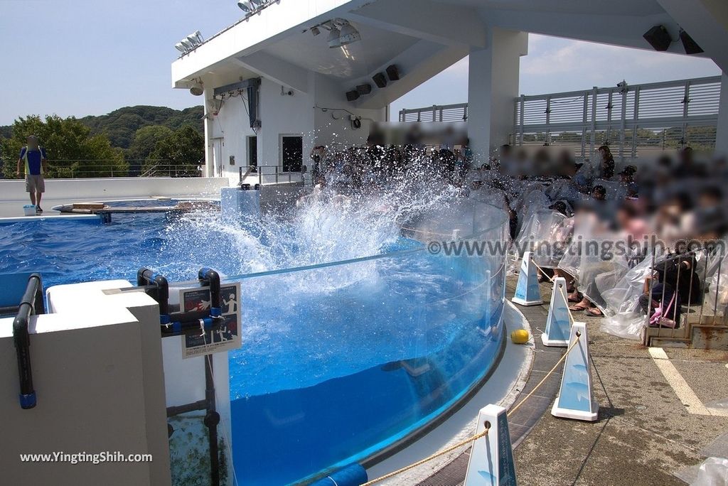 YTS_YTS_20180820_Japan Nagasaki Sasebo Kujukushima Aquarium Umi-kirara日本長崎佐世保九十九島水族館／日本最大水母交嚮樂廳171_3A5A8745.jpg