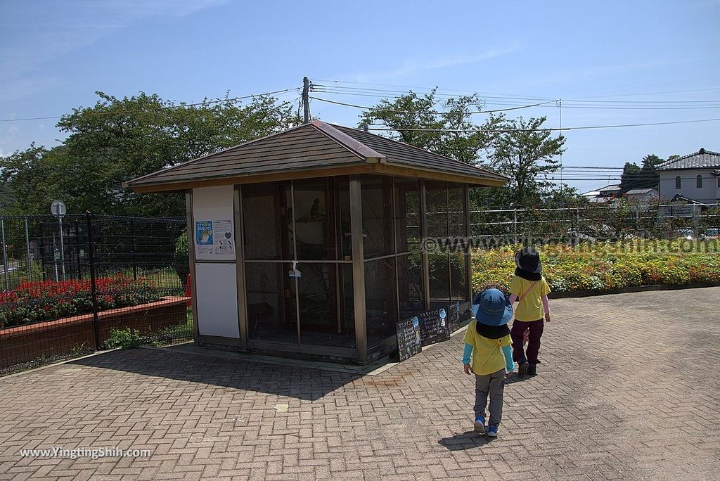 YTS_YTS_20180815_Japan Nagasaki Sasebo Zoological Park and Botanical Garden日本長崎佐世保九十九島動植物園森閃閃／日本最大天井水槽企鵝館008_3A5A2931.jpg