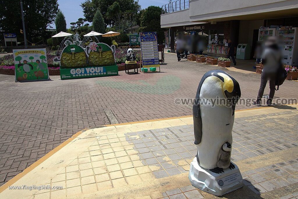 YTS_YTS_20180815_Japan Nagasaki Sasebo Zoological Park and Botanical Garden日本長崎佐世保九十九島動植物園森閃閃／日本最大天井水槽企鵝館012_3A5A2922.jpg