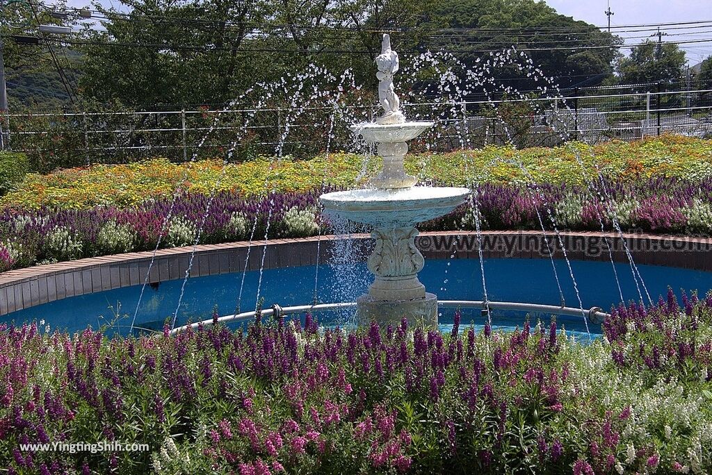 YTS_YTS_20180815_Japan Nagasaki Sasebo Zoological Park and Botanical Garden日本長崎佐世保九十九島動植物園森閃閃／日本最大天井水槽企鵝館016_3A5A2972.jpg