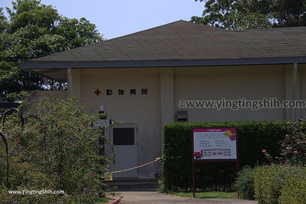 YTS_YTS_20180815_Japan Nagasaki Sasebo Zoological Park and Botanical Garden日本長崎佐世保九十九島動植物園森閃閃／日本最大天井水槽企鵝館024_3A5A3025.jpg