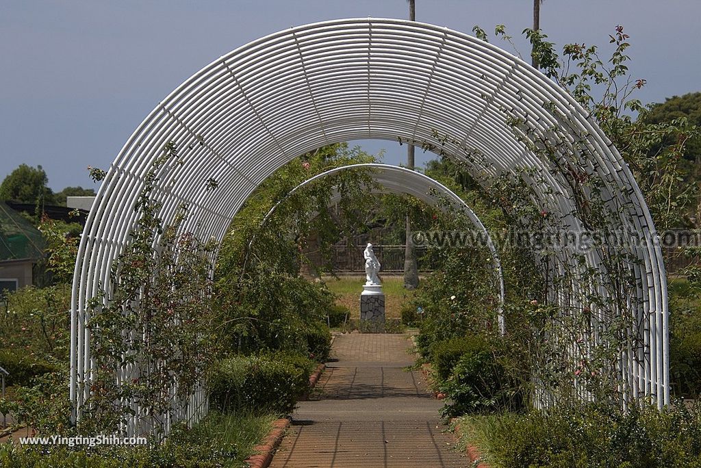 YTS_YTS_20180815_Japan Nagasaki Sasebo Zoological Park and Botanical Garden日本長崎佐世保九十九島動植物園森閃閃／日本最大天井水槽企鵝館031_3A5A3050.jpg