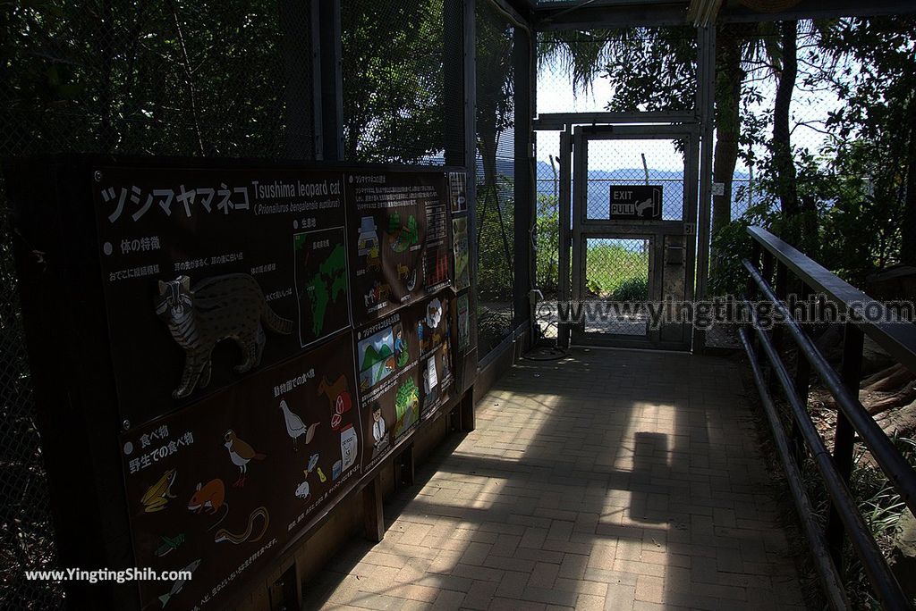 YTS_YTS_20180815_Japan Nagasaki Sasebo Zoological Park and Botanical Garden日本長崎佐世保九十九島動植物園森閃閃／日本最大天井水槽企鵝館070_3A5A4011_2.jpg