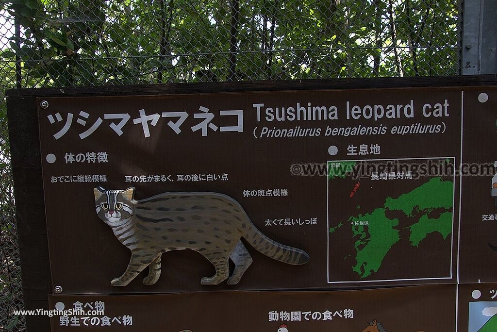 YTS_YTS_20180815_Japan Nagasaki Sasebo Zoological Park and Botanical Garden日本長崎佐世保九十九島動植物園森閃閃／日本最大天井水槽企鵝館071_3A5A4039.jpg