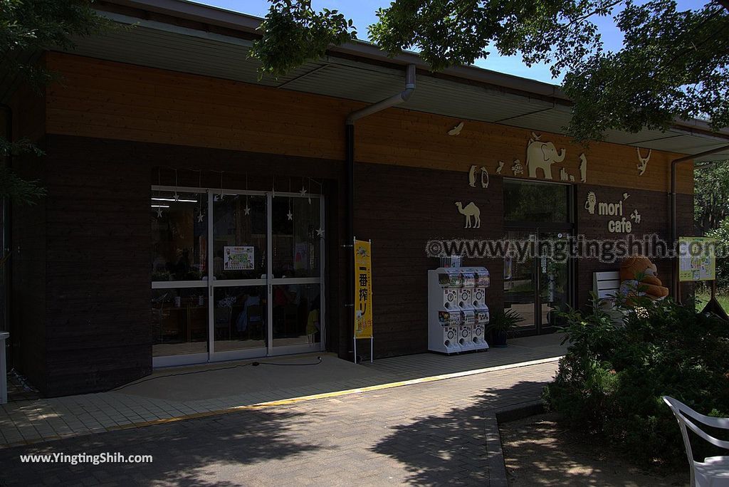 YTS_YTS_20180815_Japan Nagasaki Sasebo Zoological Park and Botanical Garden日本長崎佐世保九十九島動植物園森閃閃／日本最大天井水槽企鵝館075_3A5A4043.jpg