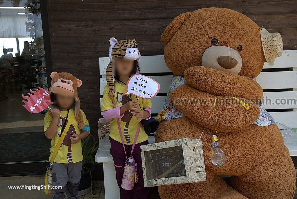 YTS_YTS_20180815_Japan Nagasaki Sasebo Zoological Park and Botanical Garden日本長崎佐世保九十九島動植物園森閃閃／日本最大天井水槽企鵝館078_3A5A4106.jpg