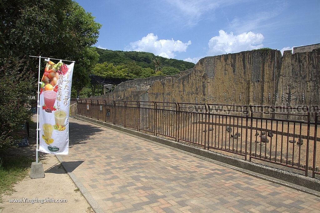 YTS_YTS_20180815_Japan Nagasaki Sasebo Zoological Park and Botanical Garden日本長崎佐世保九十九島動植物園森閃閃／日本最大天井水槽企鵝館083_3A5A4114.jpg