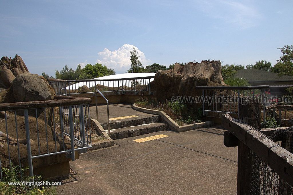 YTS_YTS_20180815_Japan Nagasaki Sasebo Zoological Park and Botanical Garden日本長崎佐世保九十九島動植物園森閃閃／日本最大天井水槽企鵝館123_3A5A5443.jpg