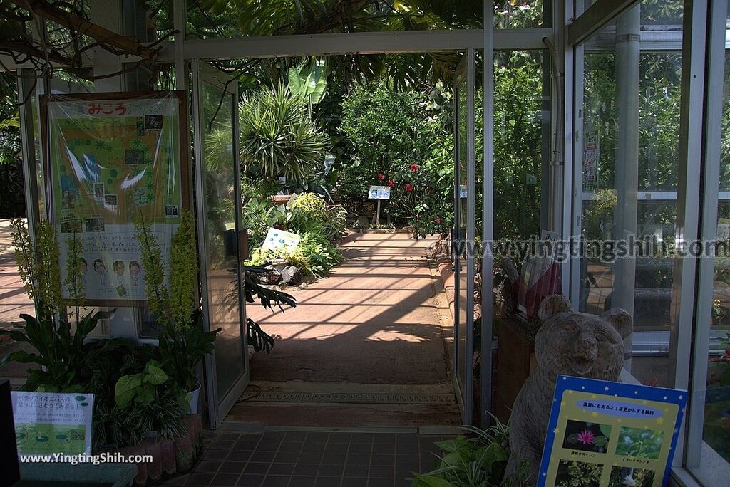 YTS_YTS_20180815_Japan Nagasaki Sasebo Zoological Park and Botanical Garden日本長崎佐世保九十九島動植物園森閃閃／日本最大天井水槽企鵝館139_3A5A5568.jpg