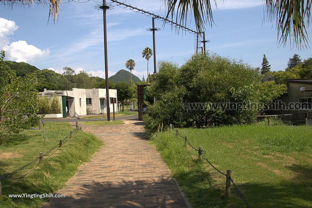 YTS_YTS_20180815_Japan Nagasaki Sasebo Zoological Park and Botanical Garden日本長崎佐世保九十九島動植物園森閃閃／日本最大天井水槽企鵝館155_3A5A5725.jpg