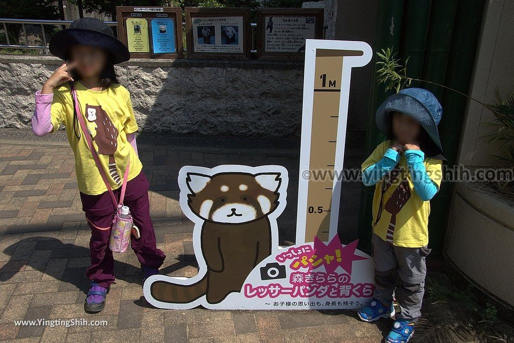 YTS_YTS_20180815_Japan Nagasaki Sasebo Zoological Park and Botanical Garden日本長崎佐世保九十九島動植物園森閃閃／日本最大天井水槽企鵝館160_3A5A6011.jpg