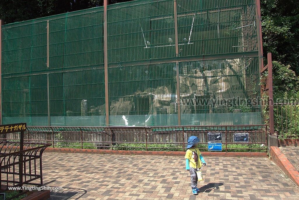 YTS_YTS_20180815_Japan Nagasaki Sasebo Zoological Park and Botanical Garden日本長崎佐世保九十九島動植物園森閃閃／日本最大天井水槽企鵝館176_3A5A6073.jpg