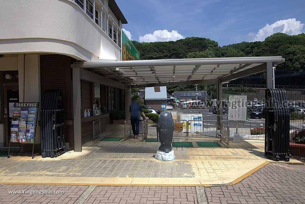 YTS_YTS_20180815_Japan Nagasaki Sasebo Zoological Park and Botanical Garden日本長崎佐世保九十九島動植物園森閃閃／日本最大天井水槽企鵝館256_3A5A2968.jpg