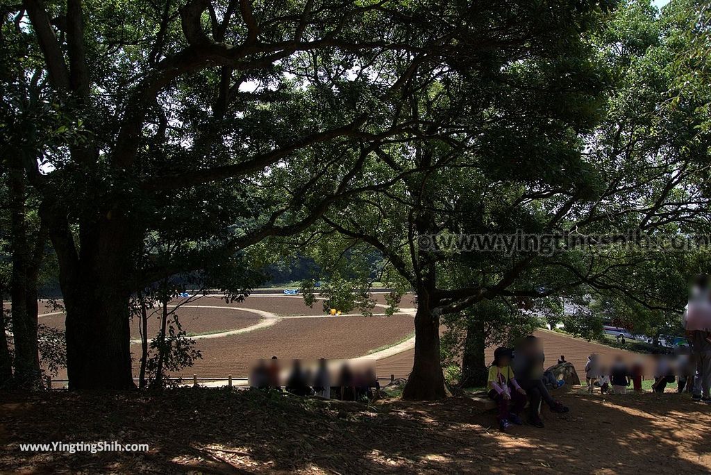 YTS_YTS_20180819_Japan Kyushu Nagasaki Sasebo Kujukushima Tenkaiho Observatory日本九州長崎佐世保九十九島八景展海峰展望台062_3A5A2726.jpg