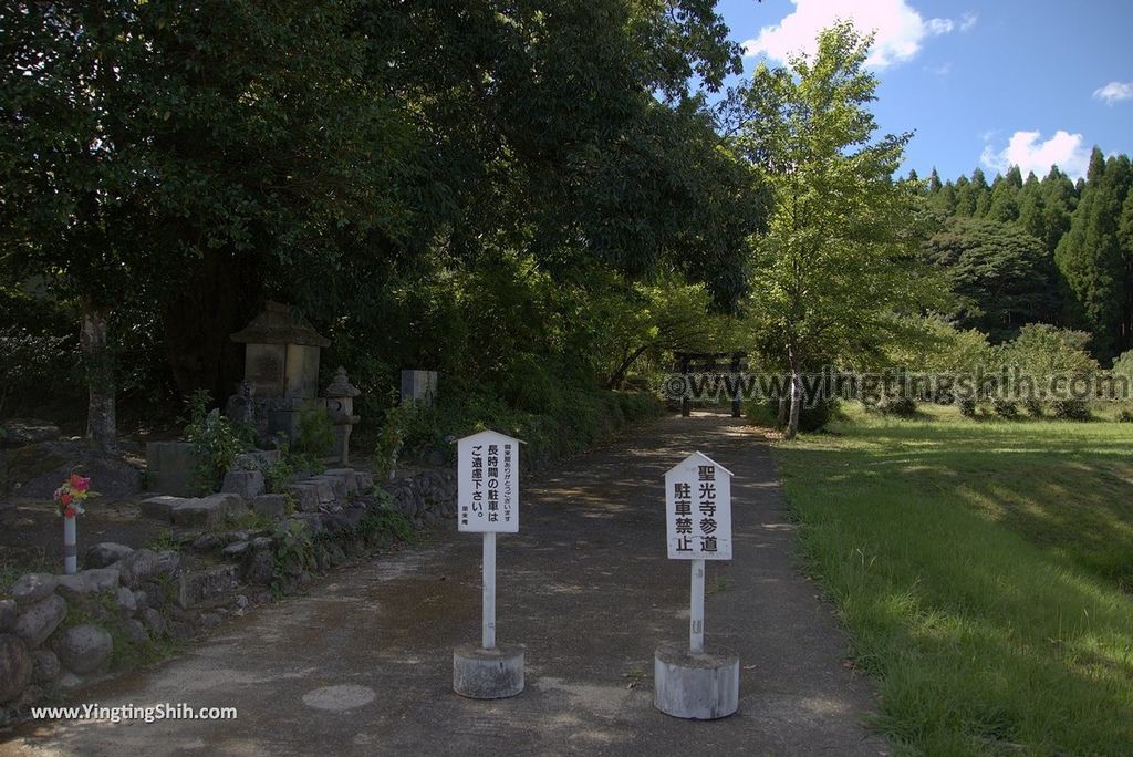 YTS_YTS_20180821_Japan Kyushu Saga Taku Two thousand year lotus日本九州佐賀多久二千年舞妃蓮／聖光寺008_3A5A8868.jpg