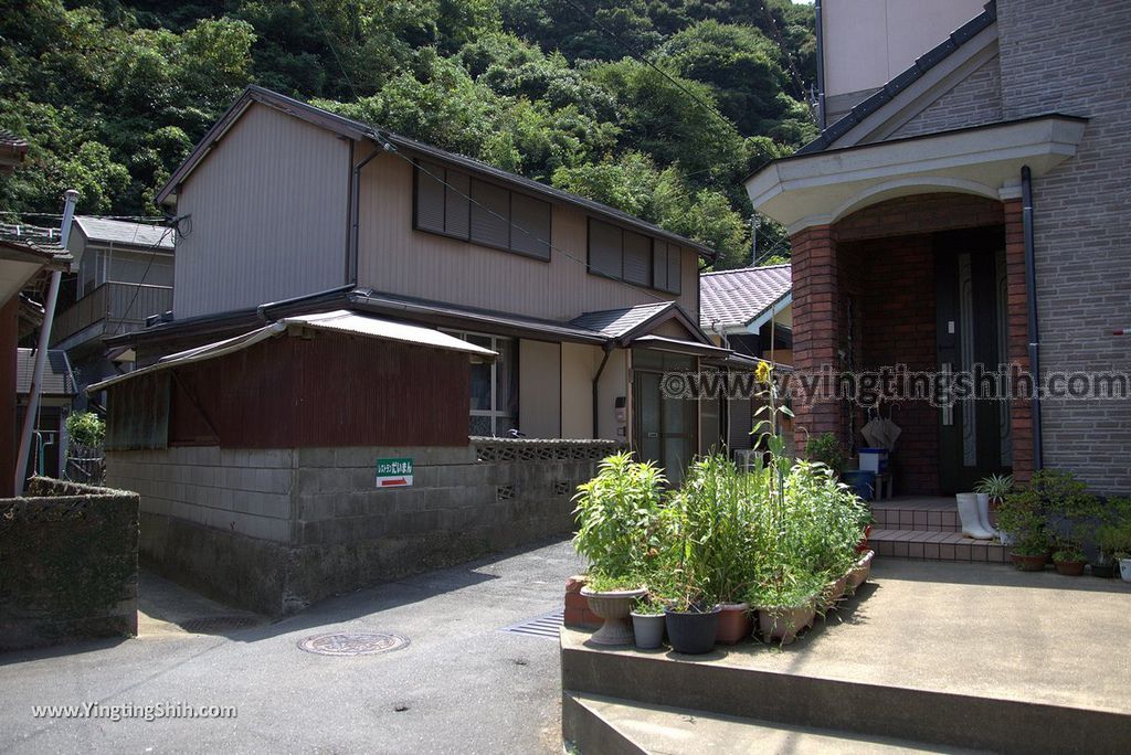 YTS_YTS_20180818_Japan Kyushu Nagasaki Habitat of Giant Mottled Eels日本九州長崎大鰻生息地／國指定天然記念物010_3A5A5763.jpg