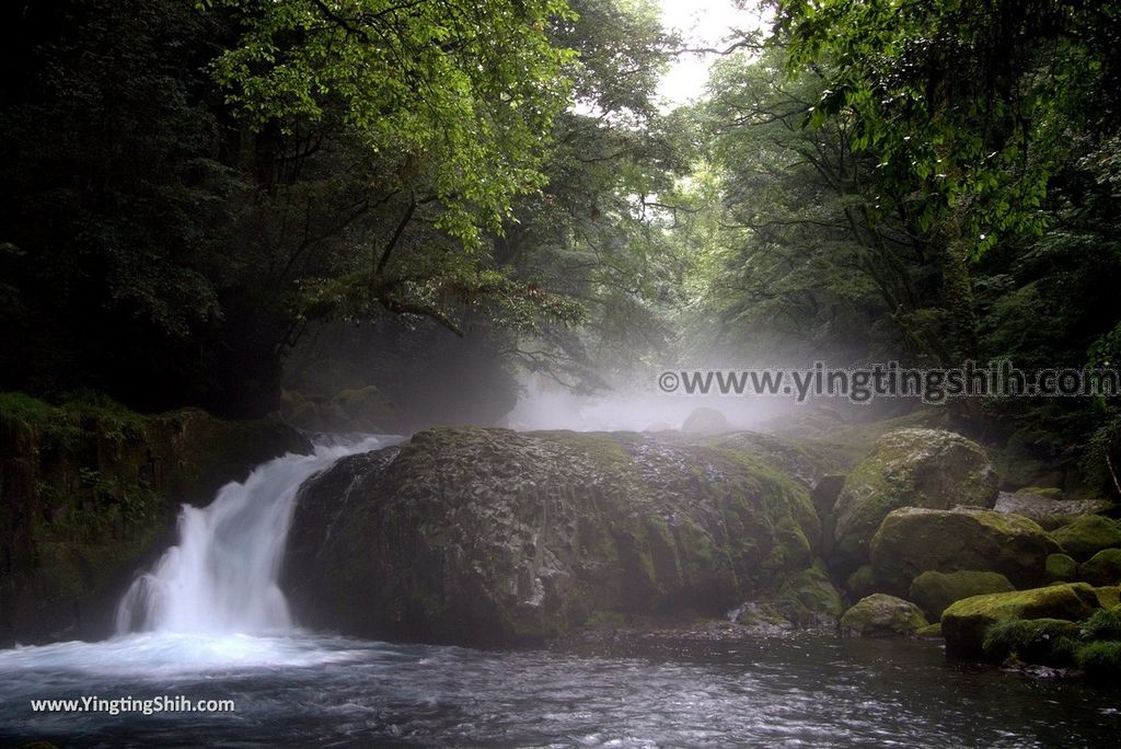 YTS_YTS_20180816_Japan Kyushu Kumamoto Kikuchi Valley／Kikuchi Glen日本九州熊本菊池溪谷／九州自然步道050_3A5A9278.jpg