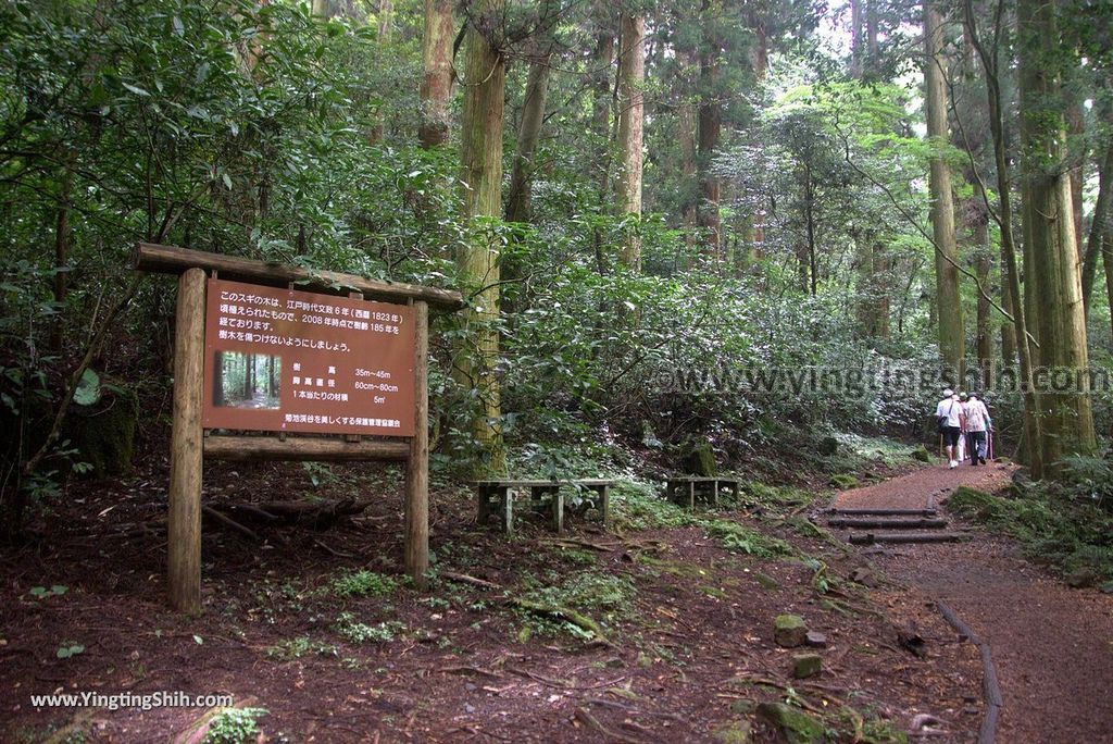 YTS_YTS_20180816_Japan Kyushu Kumamoto Kikuchi Valley／Kikuchi Glen日本九州熊本菊池溪谷／九州自然步道061_3A5A9641.jpg