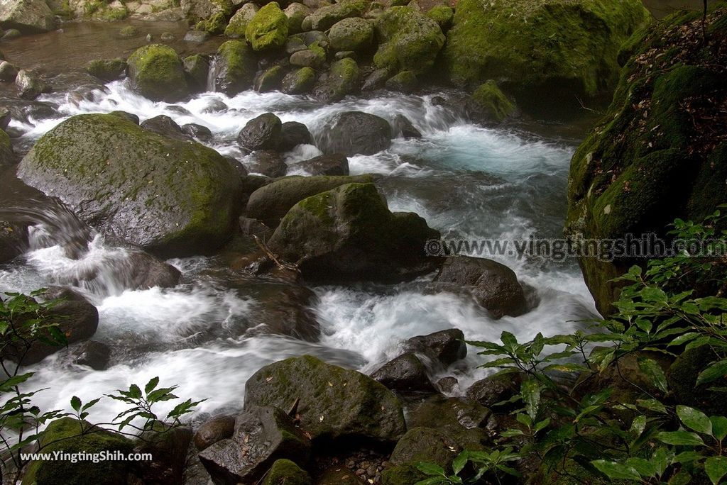 YTS_YTS_20180816_Japan Kyushu Kumamoto Kikuchi Valley／Kikuchi Glen日本九州熊本菊池溪谷／九州自然步道068_3A5A9824.jpg