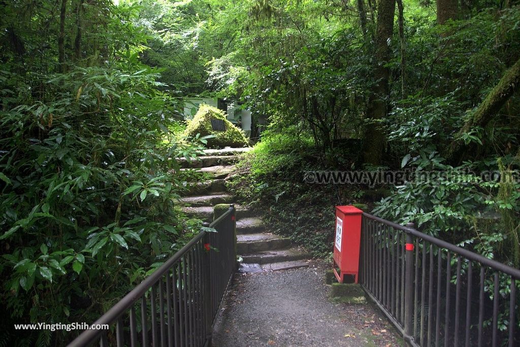 YTS_YTS_20180816_Japan Kyushu Kumamoto Kikuchi Valley／Kikuchi Glen日本九州熊本菊池溪谷／九州自然步道083_3A5A0472.jpg