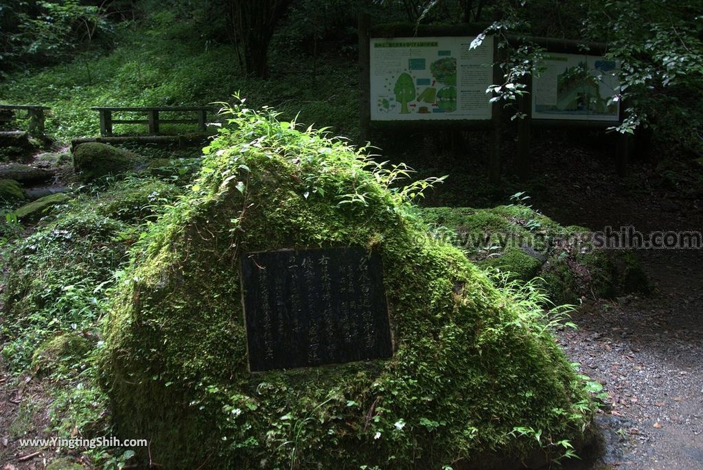 YTS_YTS_20180816_Japan Kyushu Kumamoto Kikuchi Valley／Kikuchi Glen日本九州熊本菊池溪谷／九州自然步道085_3A5A0478.jpg