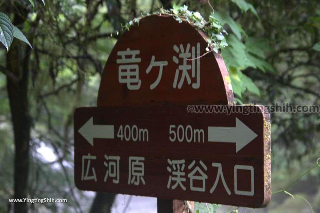 YTS_YTS_20180816_Japan Kyushu Kumamoto Kikuchi Valley／Kikuchi Glen日本九州熊本菊池溪谷／九州自然步道094_3A5A0526.jpg