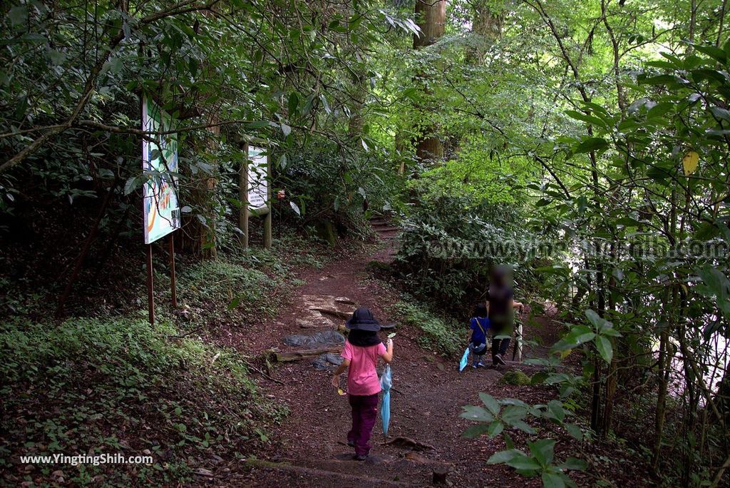 YTS_YTS_20180816_Japan Kyushu Kumamoto Kikuchi Valley／Kikuchi Glen日本九州熊本菊池溪谷／九州自然步道117_3A5A0991.jpg