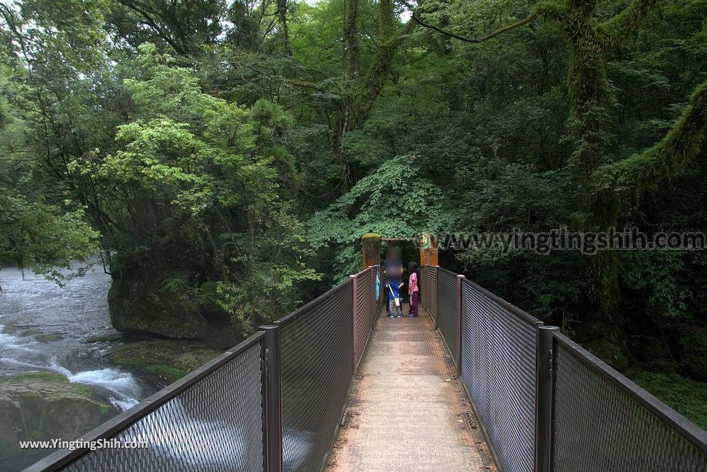 YTS_YTS_20180816_Japan Kyushu Kumamoto Kikuchi Valley／Kikuchi Glen日本九州熊本菊池溪谷／九州自然步道145_3A5A2948.jpg