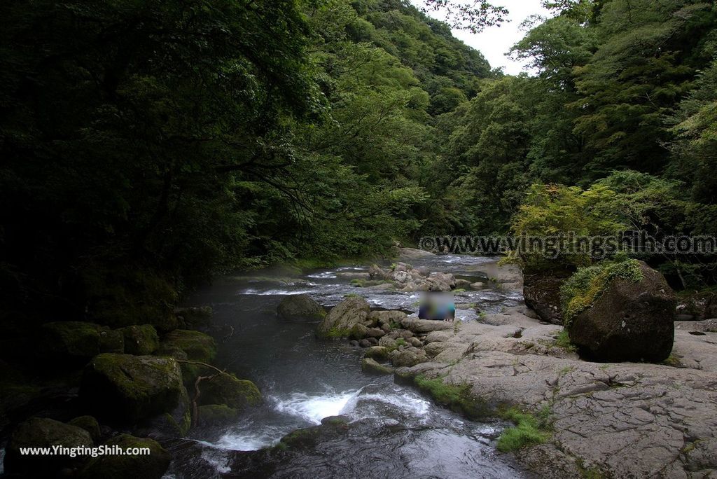 YTS_YTS_20180816_Japan Kyushu Kumamoto Kikuchi Valley／Kikuchi Glen日本九州熊本菊池溪谷／九州自然步道146_3A5A3216.jpg