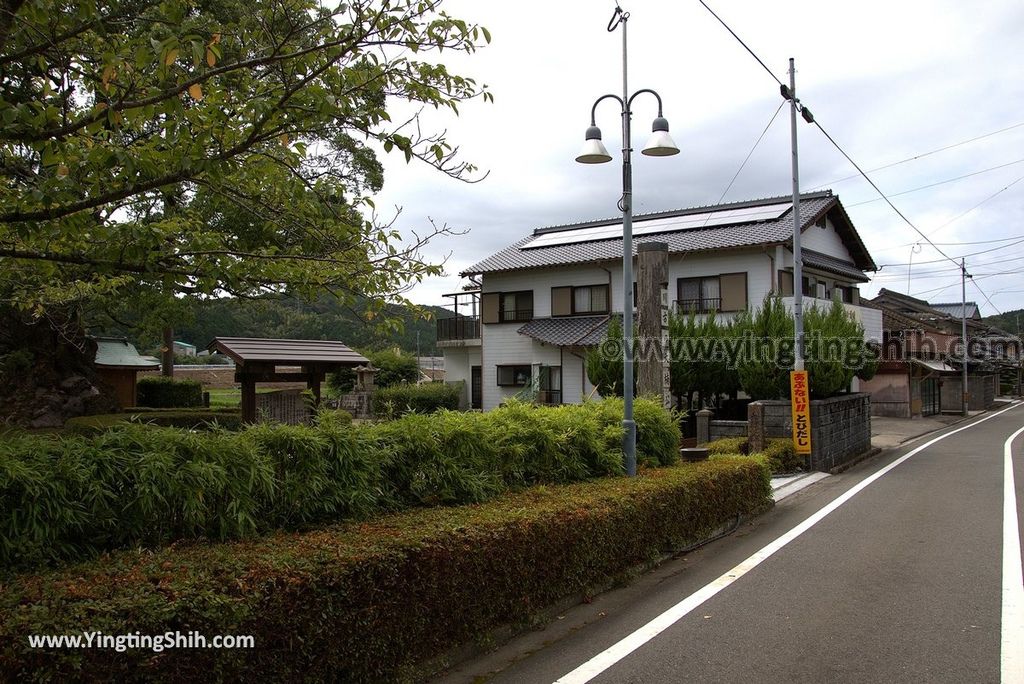 YTS_YTS_20180817_Japan Kyushu Saga Takeo Hiryuugama Koubou日本九州佐賀武雄川古大楠公園／日本第五位巨木007_3A5A0008.jpg