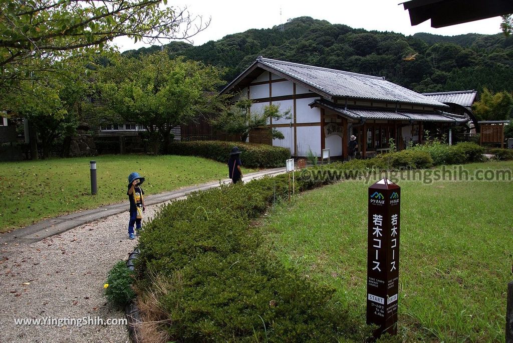 YTS_YTS_20180817_Japan Kyushu Saga Takeo Hiryuugama Koubou日本九州佐賀武雄川古大楠公園／日本第五位巨木020_3A5A0069.jpg