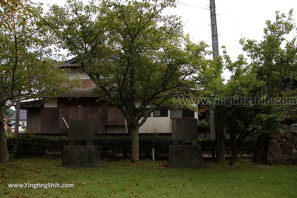 YTS_YTS_20180817_Japan Kyushu Saga Takeo Hiryuugama Koubou日本九州佐賀武雄川古大楠公園／日本第五位巨木022_3A5A0106.jpg