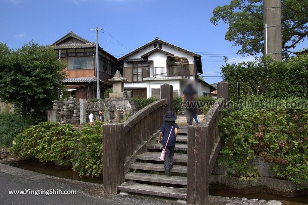 YTS_YTS_20180817_Japan Kyushu Saga Takeo Hiryuugama Koubou日本九州佐賀武雄川古大楠公園／日本第五位巨木064_3A5A0371.jpg