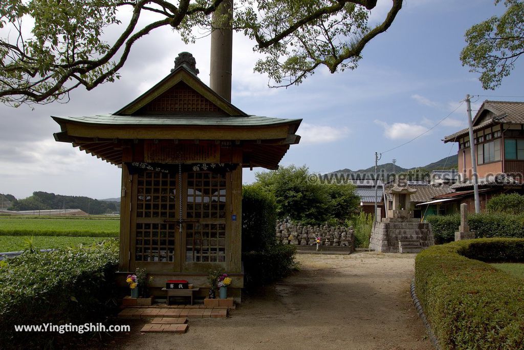 YTS_YTS_20180817_Japan Kyushu Saga Takeo Hiryuugama Koubou日本九州佐賀武雄川古大楠公園／日本第五位巨木080_3A5A0521.jpg