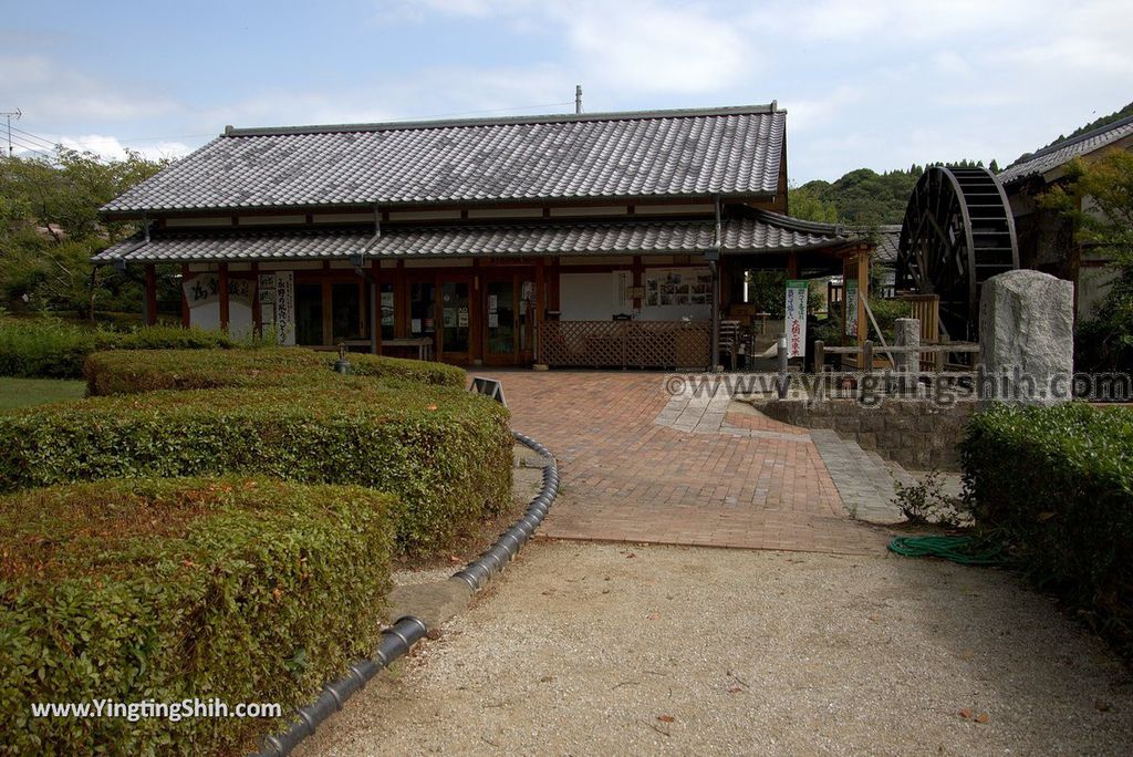 YTS_YTS_20180817_Japan Kyushu Saga Takeo Hiryuugama Koubou日本九州佐賀武雄川古大楠公園／日本第五位巨木083_3A5A0552.jpg