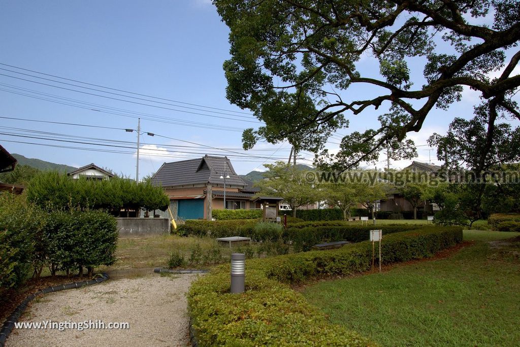 YTS_YTS_20180817_Japan Kyushu Saga Takeo Hiryuugama Koubou日本九州佐賀武雄川古大楠公園／日本第五位巨木084_3A5A0617.jpg