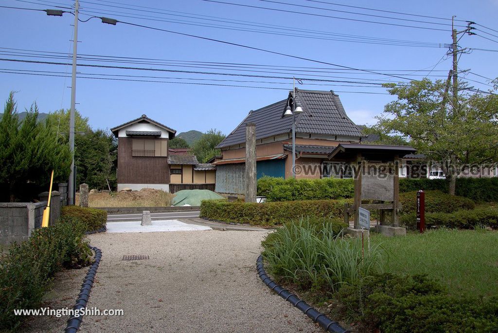 YTS_YTS_20180817_Japan Kyushu Saga Takeo Hiryuugama Koubou日本九州佐賀武雄川古大楠公園／日本第五位巨木088_3A5A0641.jpg