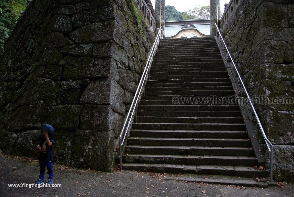 YTS_YTS_20180817_Japan Kyushu Saga Takeo Shrine日本九州佐賀武雄神社／武雄の大楠039_3A5A9385.jpg