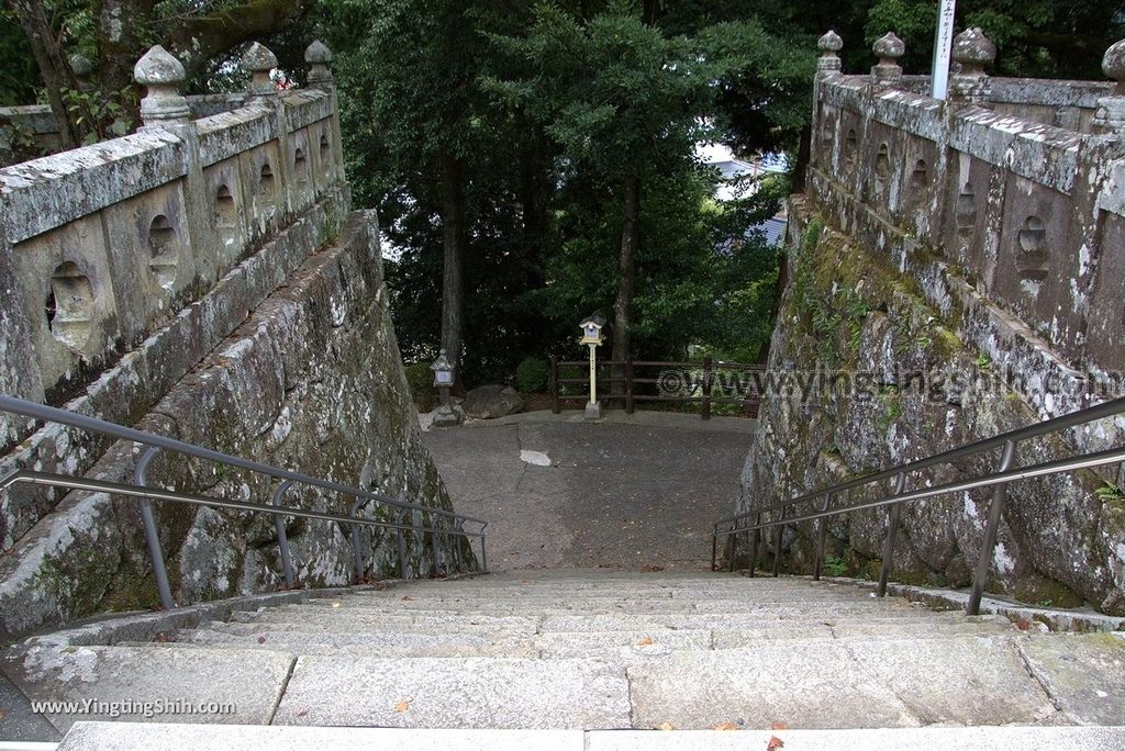 YTS_YTS_20180817_Japan Kyushu Saga Takeo Shrine日本九州佐賀武雄神社／武雄の大楠042_3A5A9912.jpg