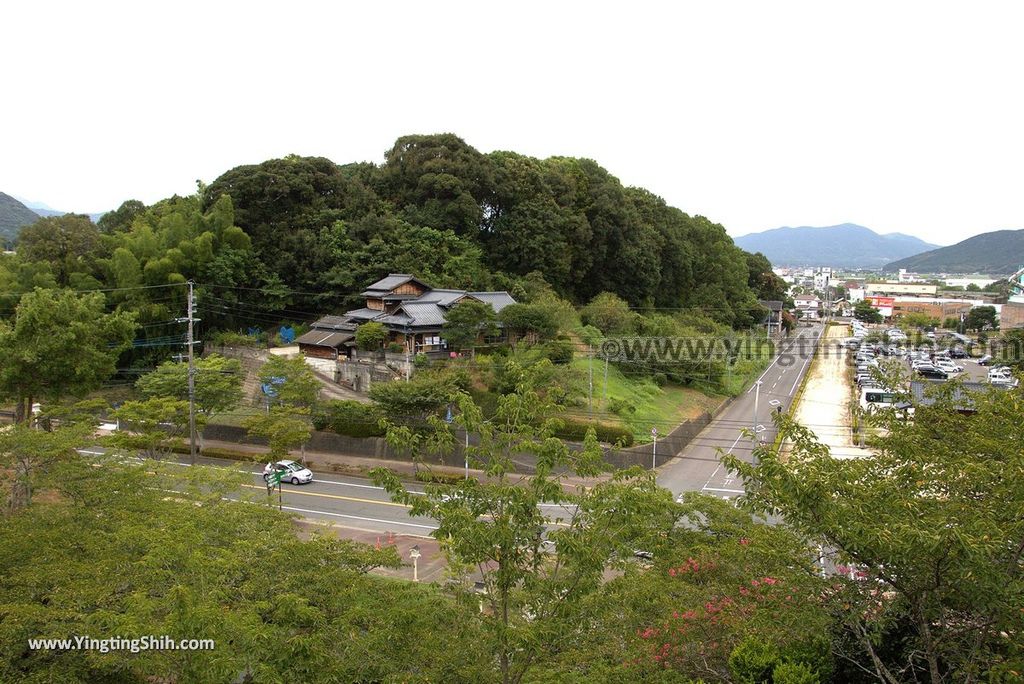 YTS_YTS_20180817_Japan Kyushu Saga Takeo Shrine日本九州佐賀武雄神社／武雄の大楠049_3A5A9934.jpg