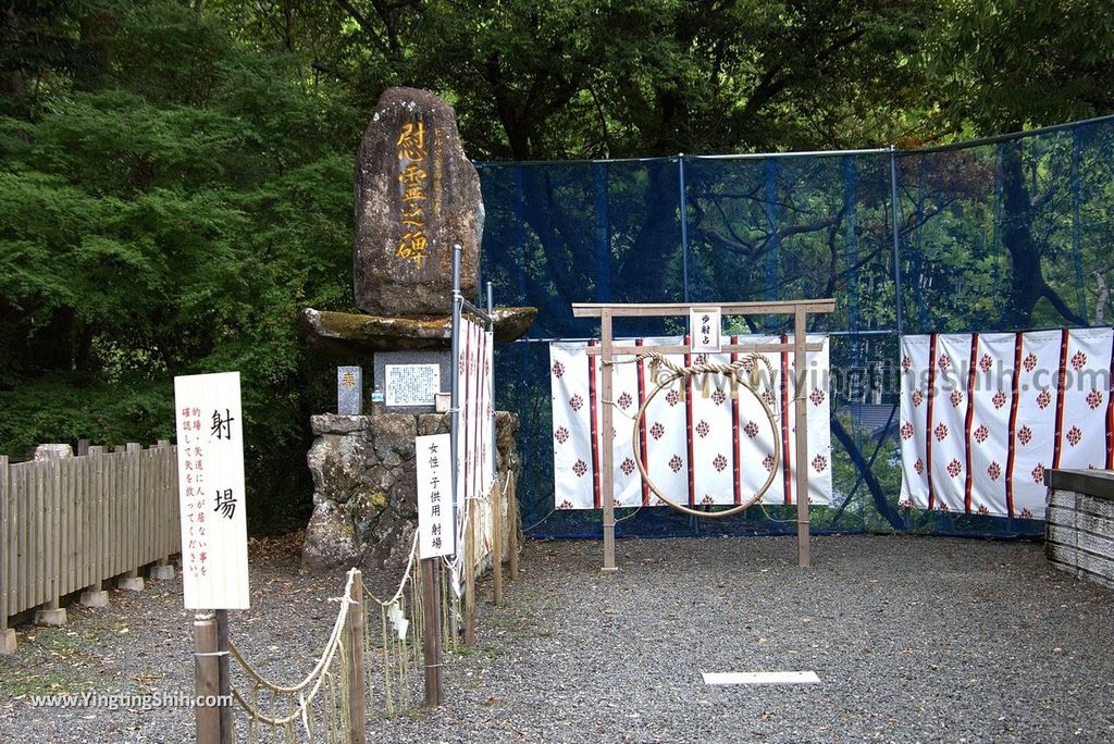 YTS_YTS_20180817_Japan Kyushu Saga Takeo Shrine日本九州佐賀武雄神社／武雄の大楠065_3A5A9463.jpg