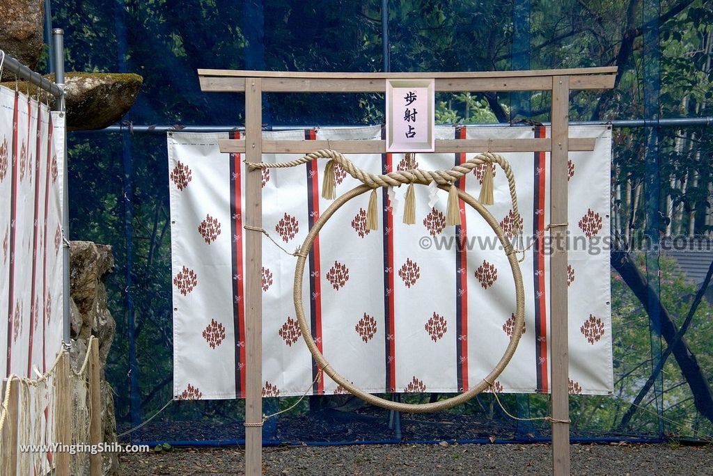 YTS_YTS_20180817_Japan Kyushu Saga Takeo Shrine日本九州佐賀武雄神社／武雄の大楠066_3A5A9468.jpg