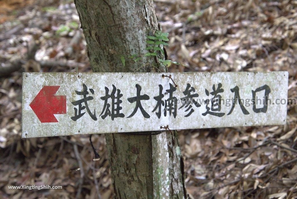 YTS_YTS_20180817_Japan Kyushu Saga Takeo Shrine日本九州佐賀武雄神社／武雄の大楠085_3A5A9509.jpg