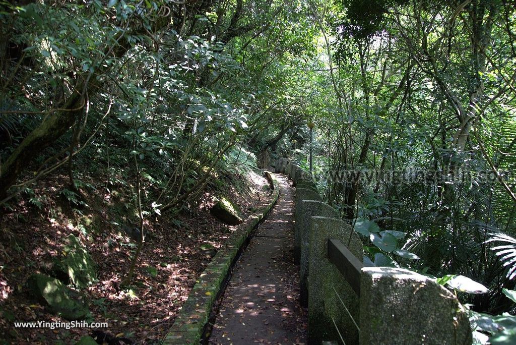 YTS_YTS_20180902_基隆暖暖暖東峽谷／最天然盪鞦韆／超長滑瀑Keelung Nuannuan Nuandong Valley123_3A5A9934.jpg