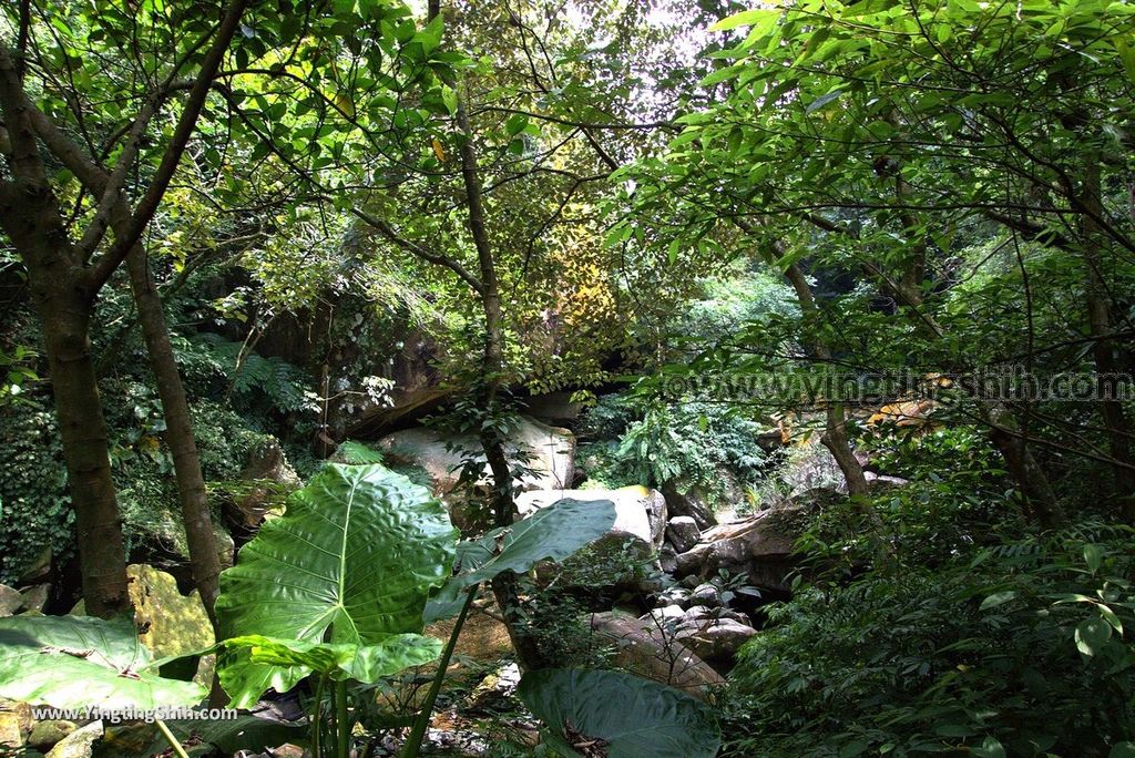 YTS_YTS_20180902_基隆暖暖暖東峽谷／最天然盪鞦韆／超長滑瀑Keelung Nuannuan Nuandong Valley140_3A5A0167.jpg